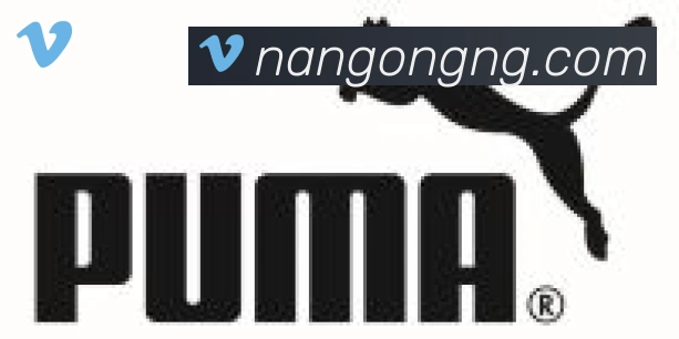 南宫体育合作伙伴