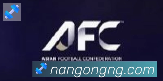 南宫体育合作伙伴