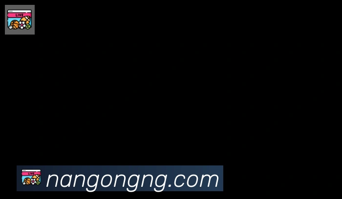 南宫体育合作伙伴